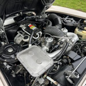 31212-1054513-car-20250423_161021-img_8817