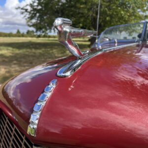 31212-1073054-car-20250828_142510-img_1908