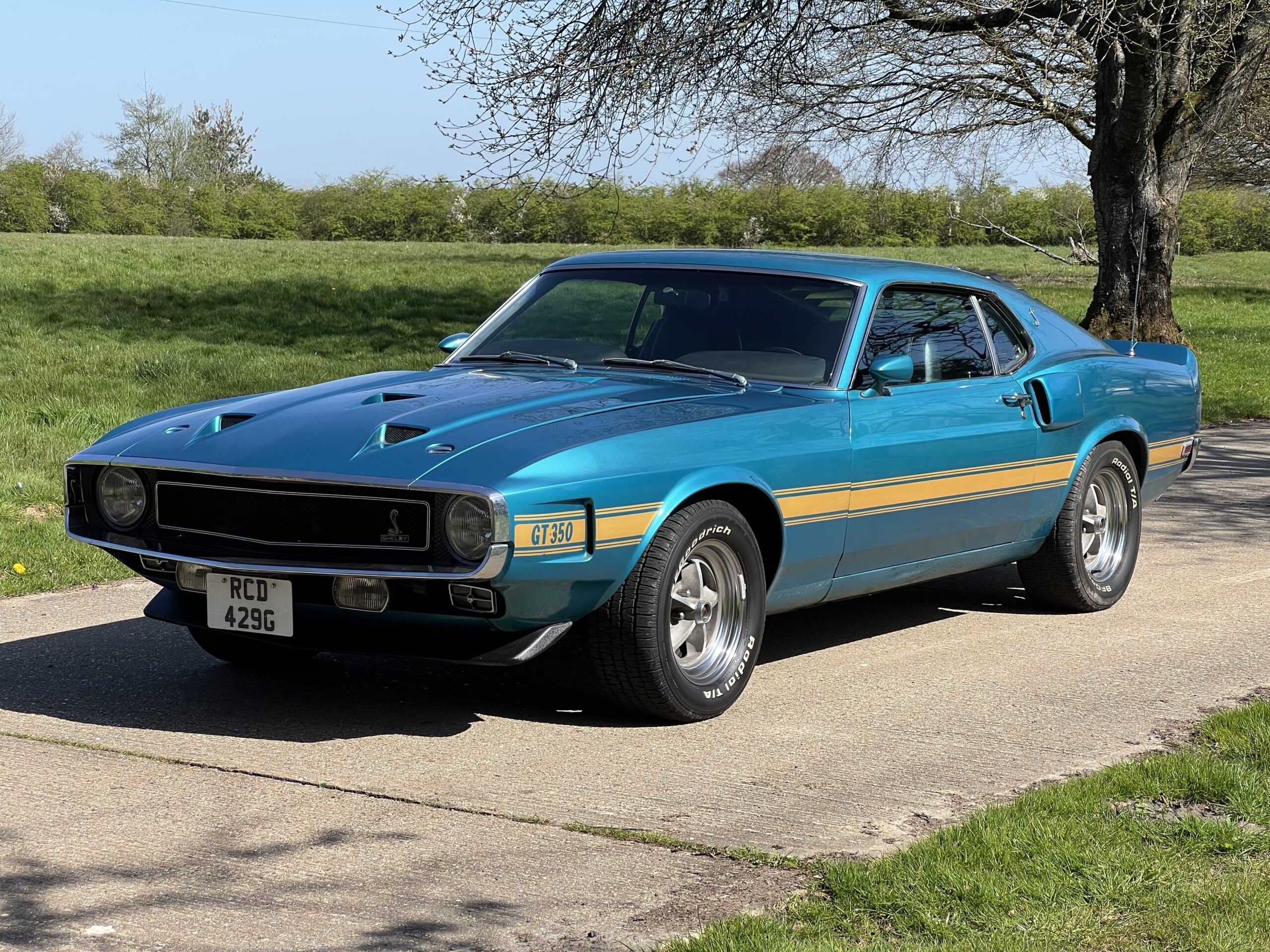1969 Shelby GT 350 (Left hand dri...